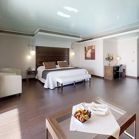 Hotel Vincci Seleccion Aleysa